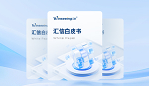 《 汇信汇有单白皮书》2